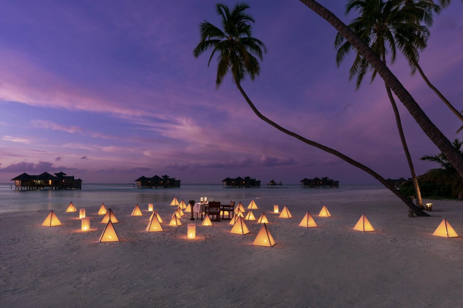 Candlelit sunset dinner among the palms
