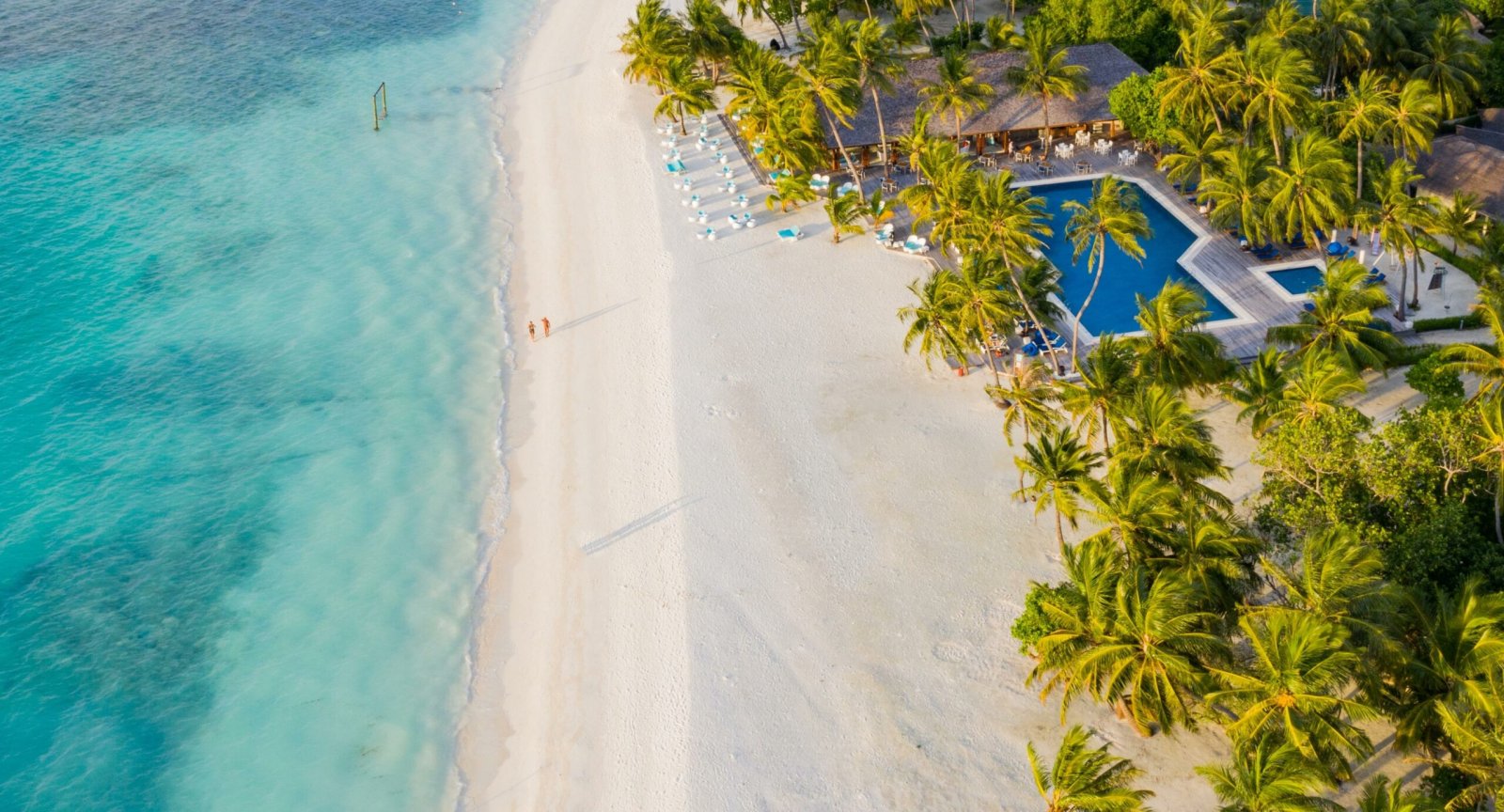 Aerial view of the beach and resort grounds