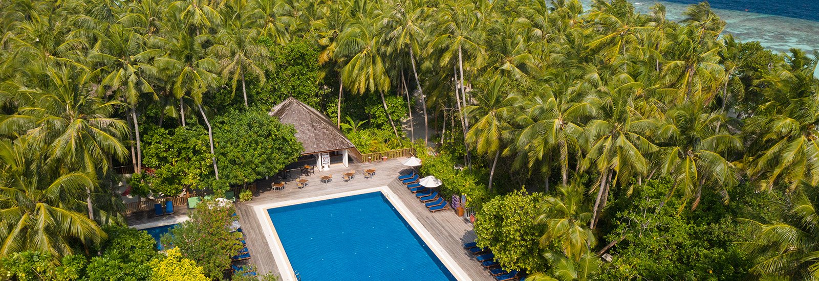 Swimming pool among the island's gardens from above