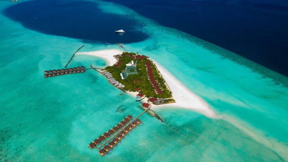 Dhigufaru Island Resort photos photo 30