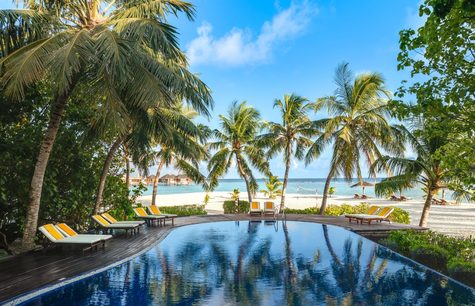 Infinity pool with sun loungers facing the beach