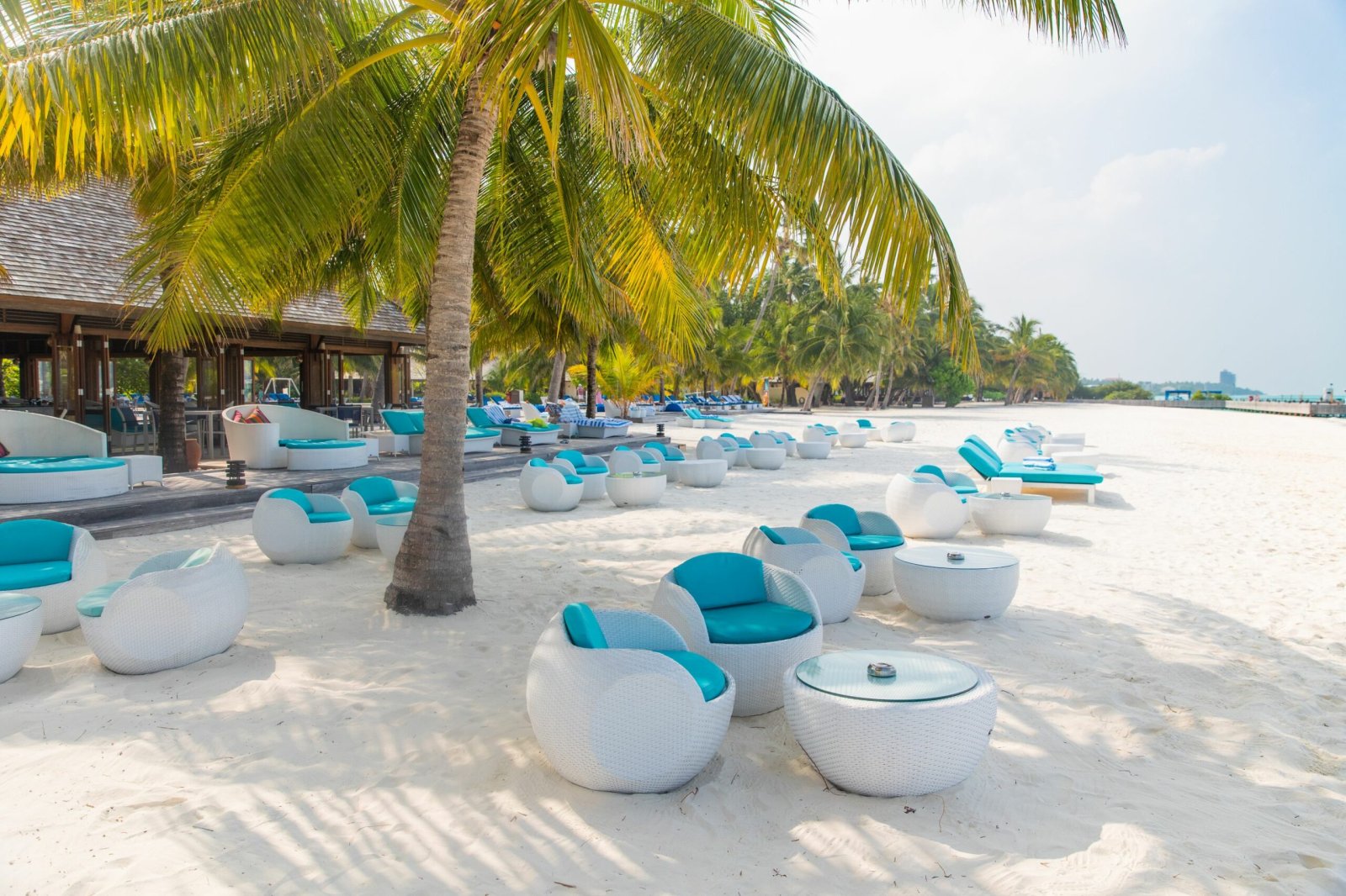 Beachside lounge under palm trees