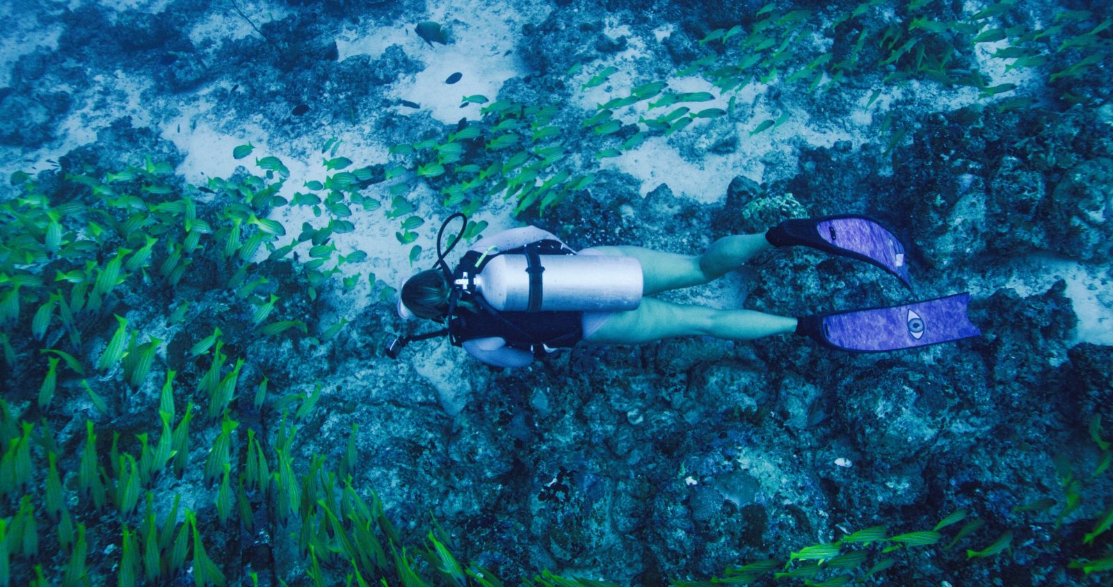 Scuba diver over the reef