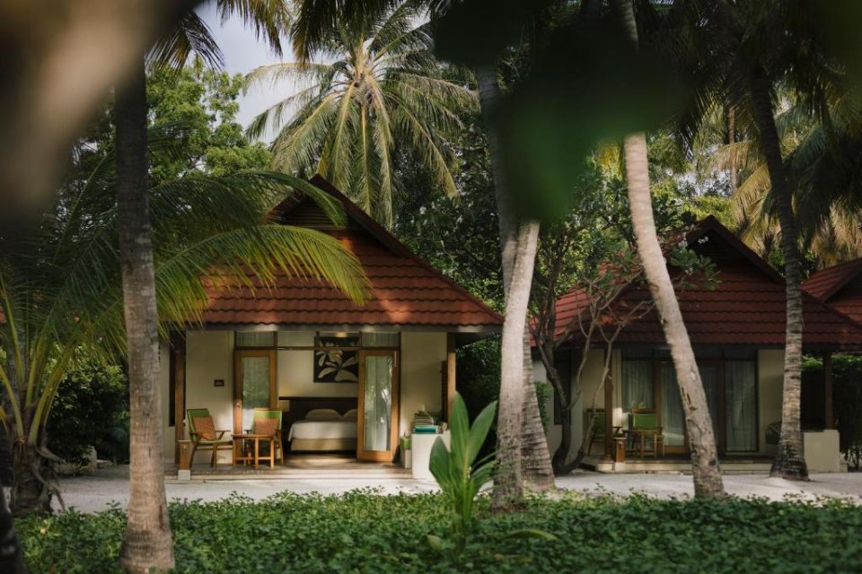 Deluxe Bungalow photo 5