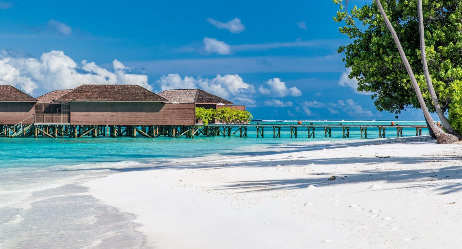 Beach with a jetty and overwater villas