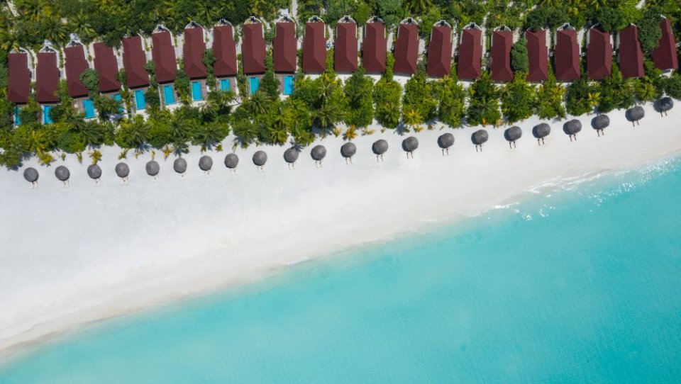 Dhigufaru Island Resort photos photo 25