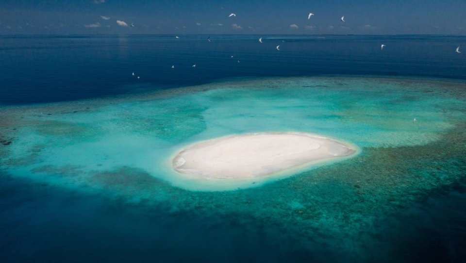 Dhigufaru Island Resort photos photo 6