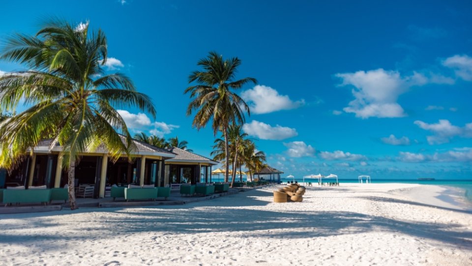 Dhigufaru Island Resort photos photo 5