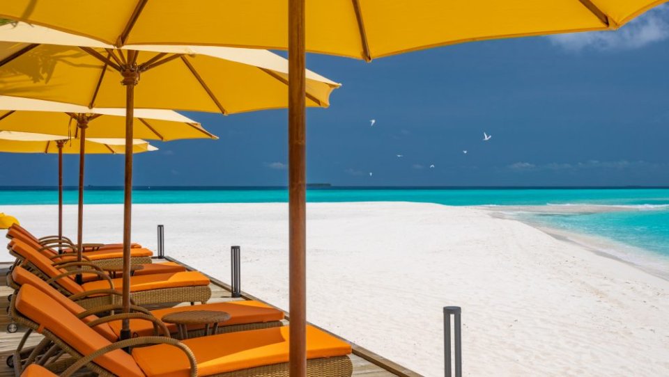 Dhigufaru Island Resort photos photo 17