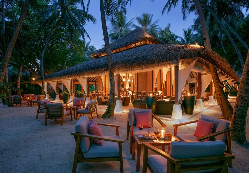 Palm Garden at twilight
