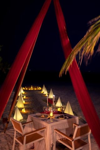Season Paradise