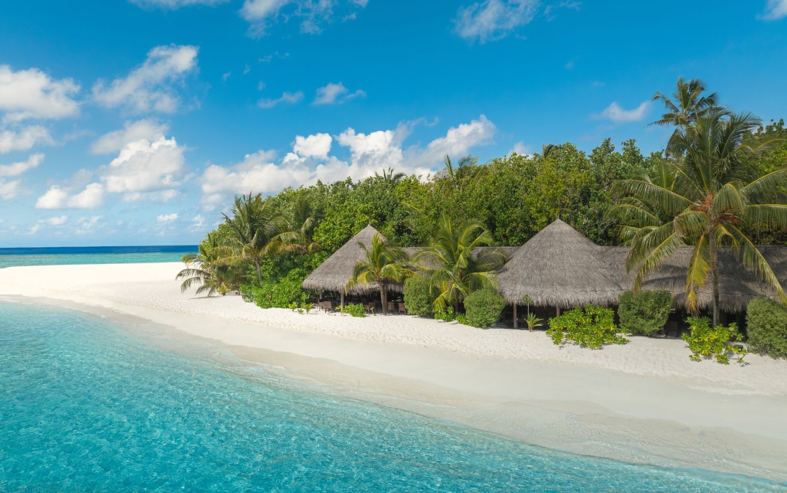 Barefoot beach restaurant