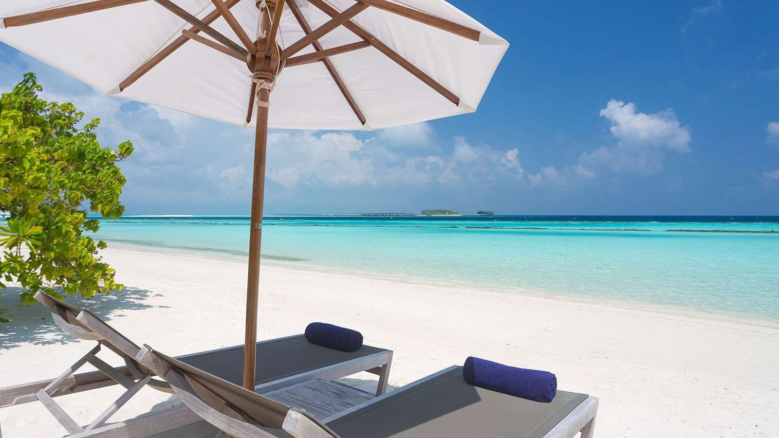 Sunbeds on the white sand beach