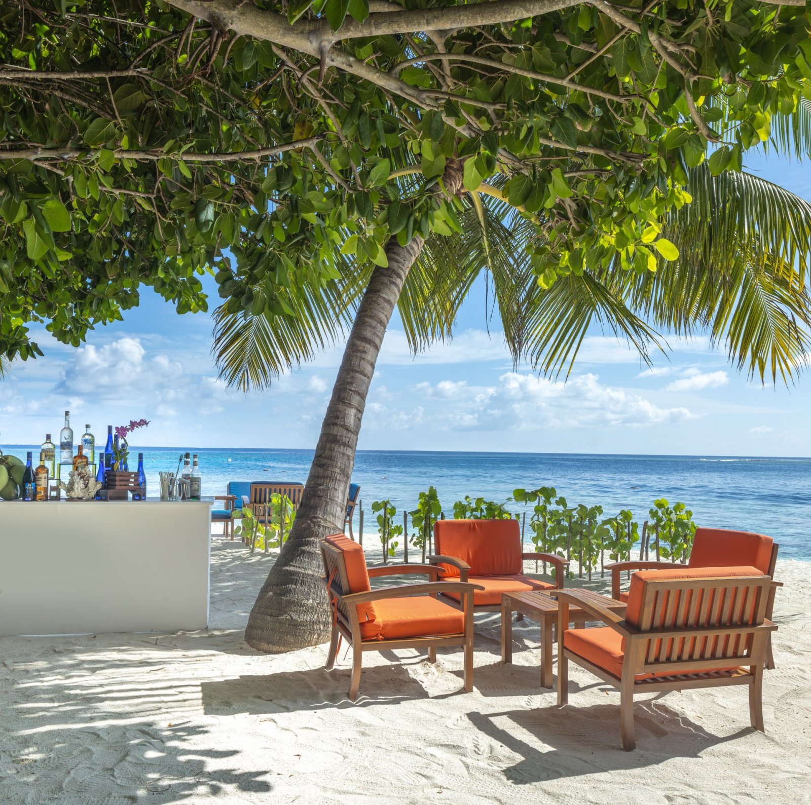 Beachside bar seating