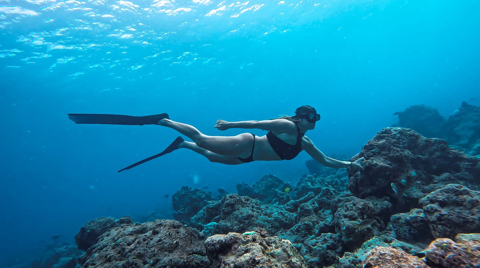 Snorkeller over the reef