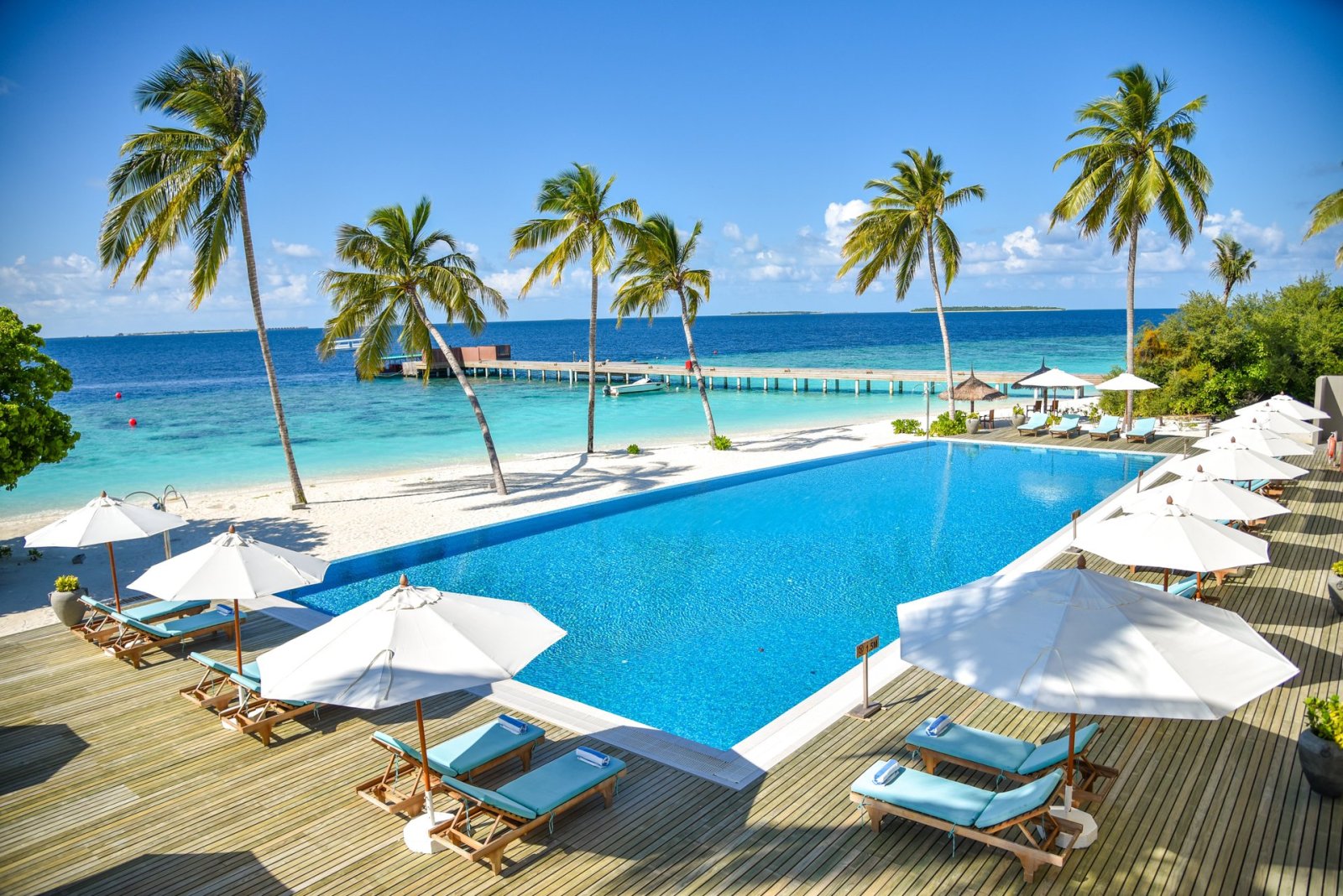 Infinity pool and beach with sun loungers