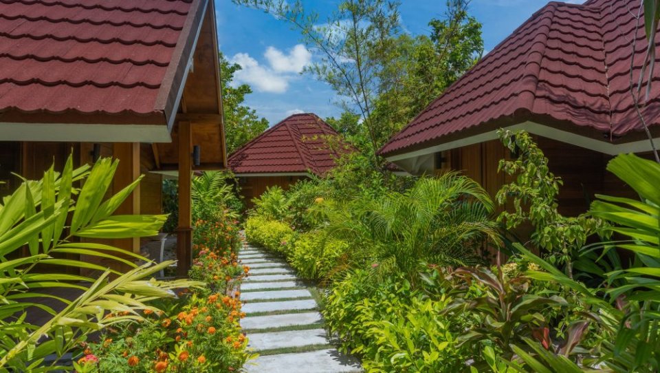 Dhigufaru Island Resort photos photo 14