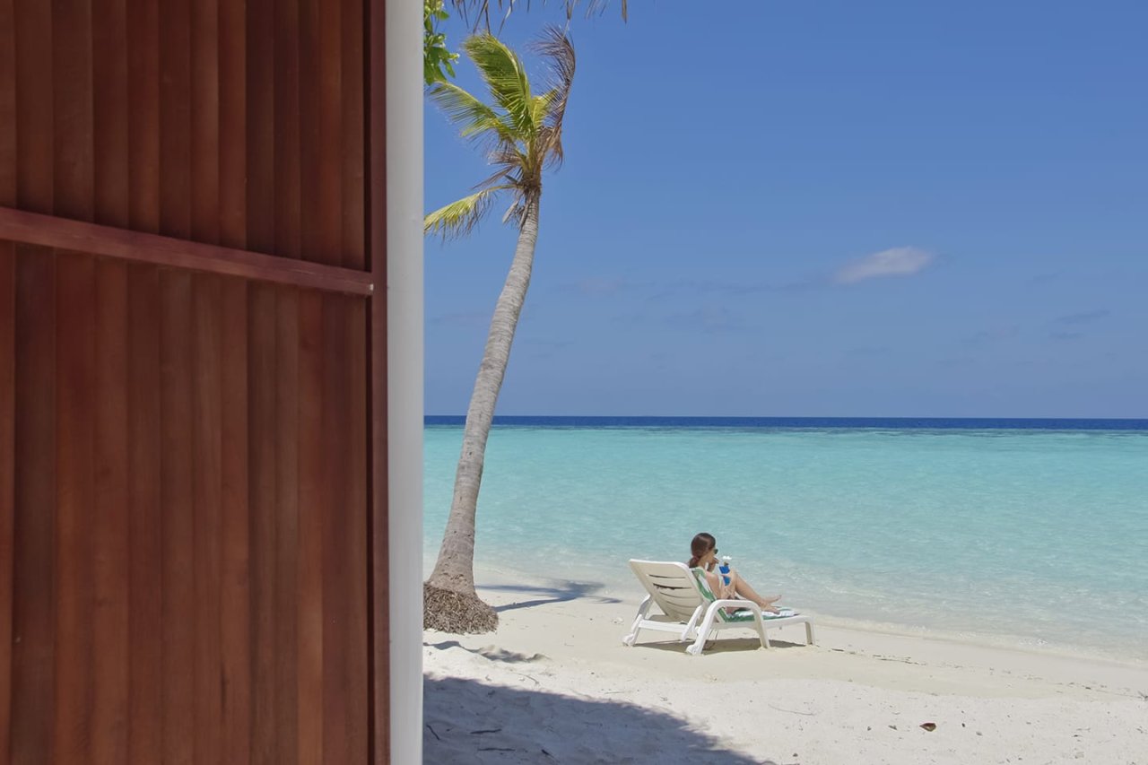 Beach with a sunbed under the palms