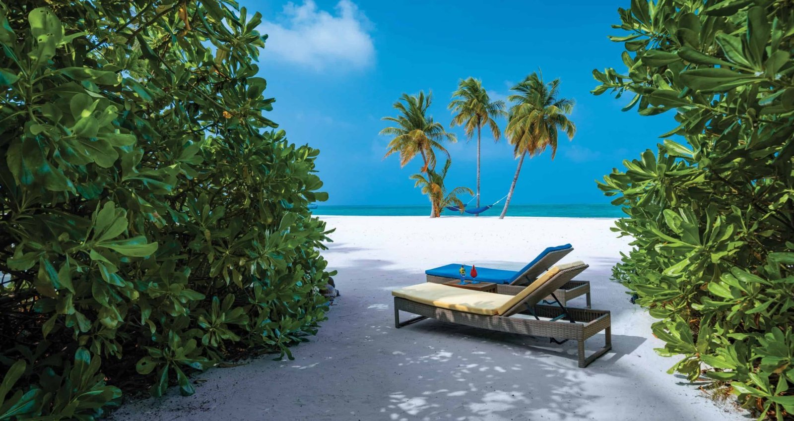 Private beach garden with sun loungers