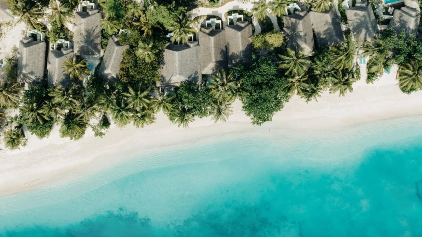 Nova Maldives photo 1