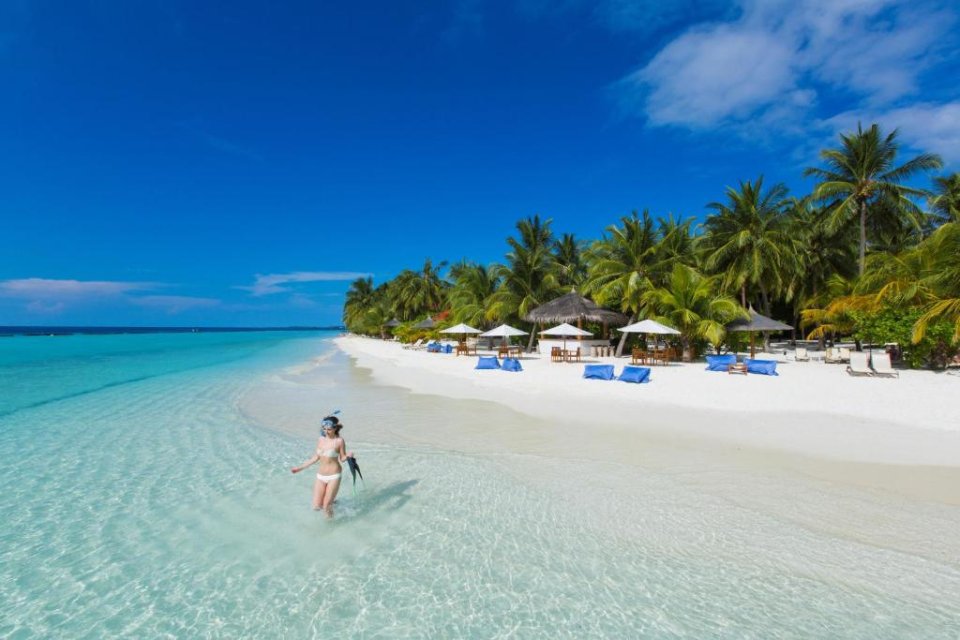 Niva Kurumba
