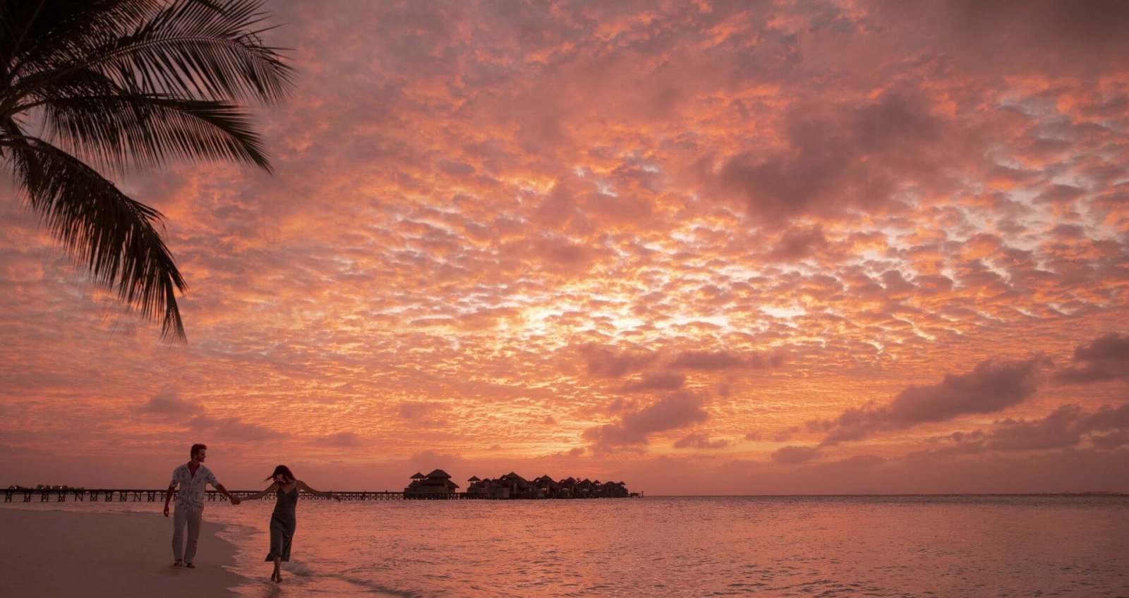 Couple walking on the beach at sunset