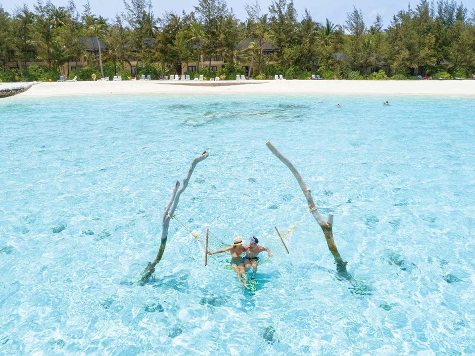 Guest in the shallow lagoon